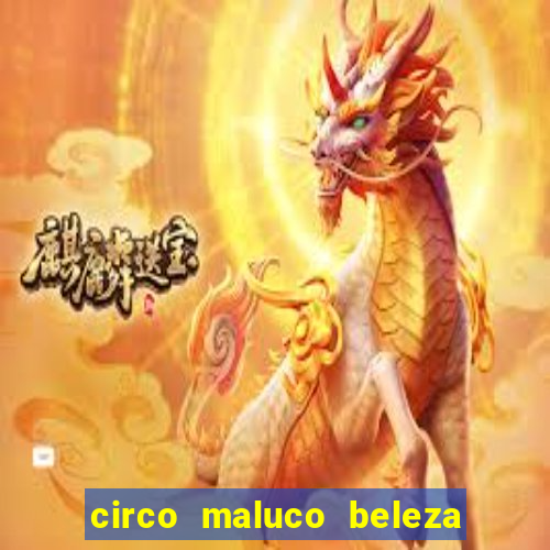 circo maluco beleza recife circo maluco